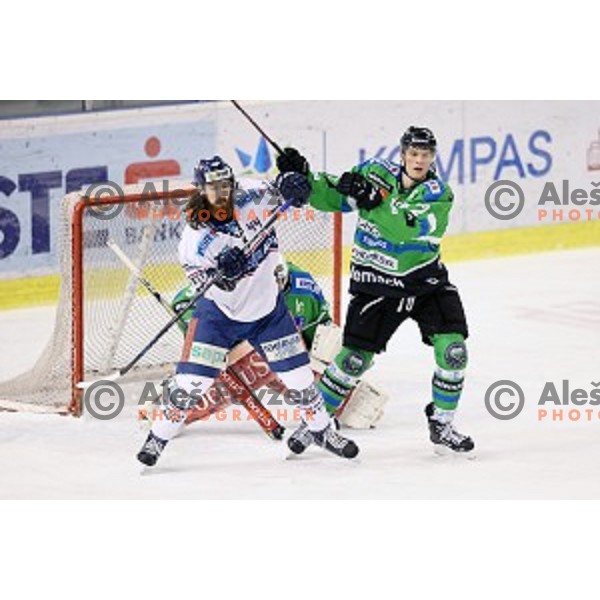 of Telemach Olimpija in action during ice-hockey match Telemach Olimpija-Sapa Fehervar AV 19 in EBEL league 2015/2016 in Tivoli Hall, Ljubljana, Slovenia on January 1, 2016