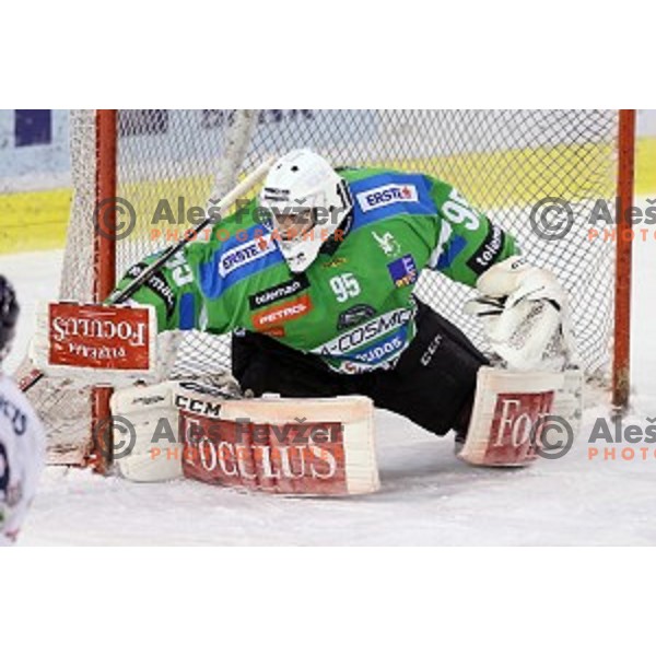 of Telemach Olimpija in action during ice-hockey match Telemach Olimpija-Sapa Fehervar AV 19 in EBEL league 2015/2016 in Tivoli Hall, Ljubljana, Slovenia on January 1, 2016