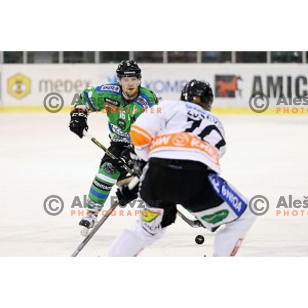 Ales Music of Telemach Olimpija in action during ice-hockey match Telemach Olimpija-Moser Medical Graz 99ers in EBEL league 2015/2016 in Tivoli Hall, Ljubljana, Slovenia on January 5, 2016