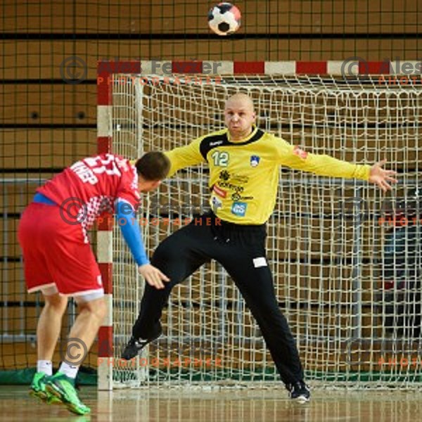 Gorazd Skof in action during friendly handball match between Slovenia - Croatia, Bonifika, Koper, 09.01.2016