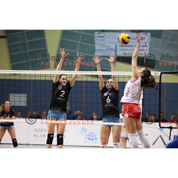 action in the Final of Slovenian Volleyball Cup between Calcit Volleyball and Nova KBM Branik in Kamnik, Slovenia on January 9, 2016