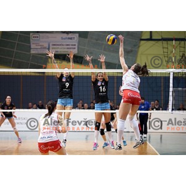 action in the Final of Slovenian Volleyball Cup between Calcit Volleyball and Nova KBM Branik in Kamnik, Slovenia on January 9, 2016