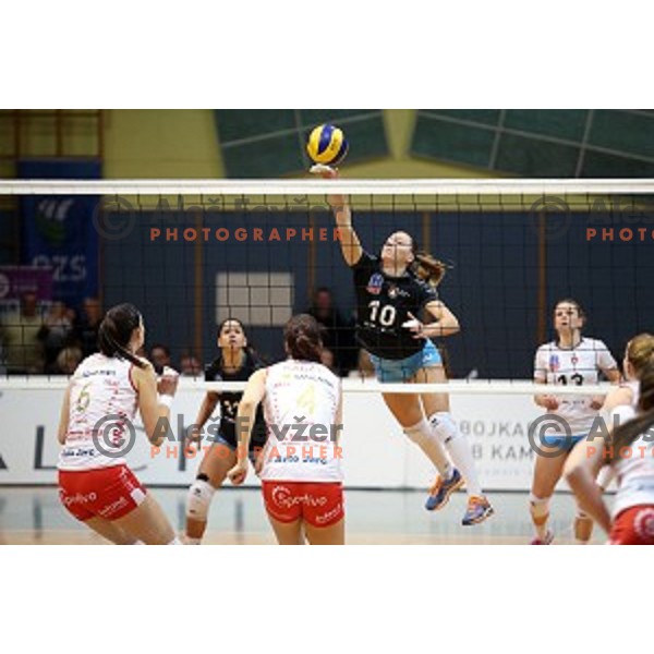 action in the Final of Slovenian Volleyball Cup between Calcit Volleyball and Nova KBM Branik in Kamnik, Slovenia on January 9, 2016