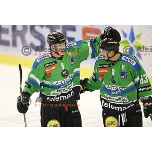 of Telemach Olimpija in action during ice-hockey match Telemach Olimpija - Red Bull Salzburg in EBEL league 2015/2016 in Tivoli Hall, Ljubljana, Slovenia on January 10, 2016