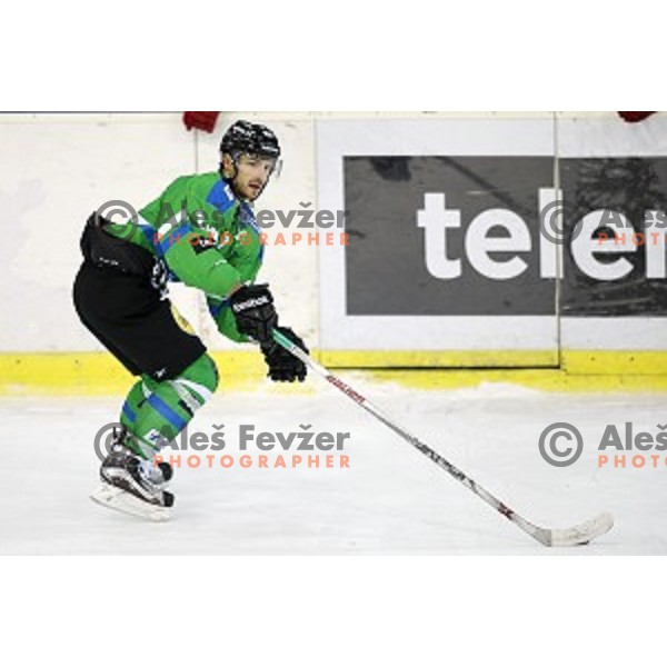 of Telemach Olimpija in action during ice-hockey match Telemach Olimpija - Red Bull Salzburg in EBEL league 2015/2016 in Tivoli Hall, Ljubljana, Slovenia on January 10, 2016