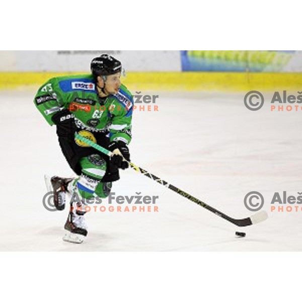 of Telemach Olimpija in action during ice-hockey match Telemach Olimpija - Red Bull Salzburg in EBEL league 2015/2016 in Tivoli Hall, Ljubljana, Slovenia on January 10, 2016