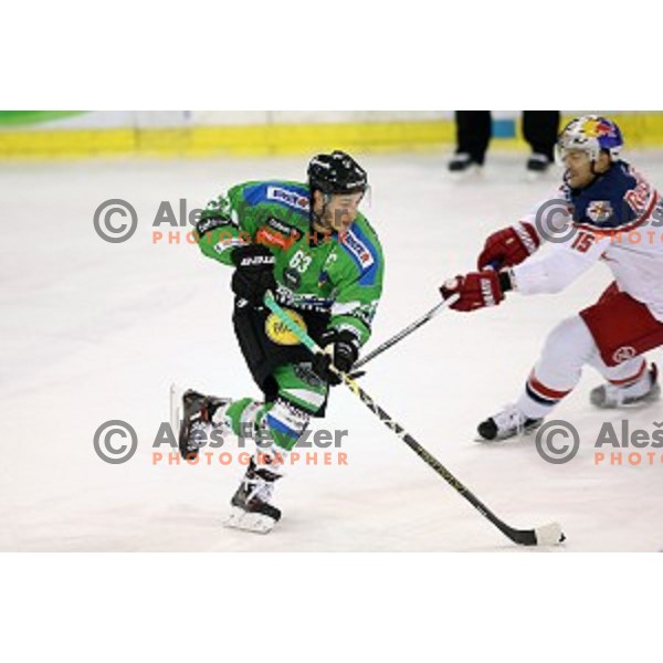 of Telemach Olimpija in action during ice-hockey match Telemach Olimpija - Red Bull Salzburg in EBEL league 2015/2016 in Tivoli Hall, Ljubljana, Slovenia on January 10, 2016