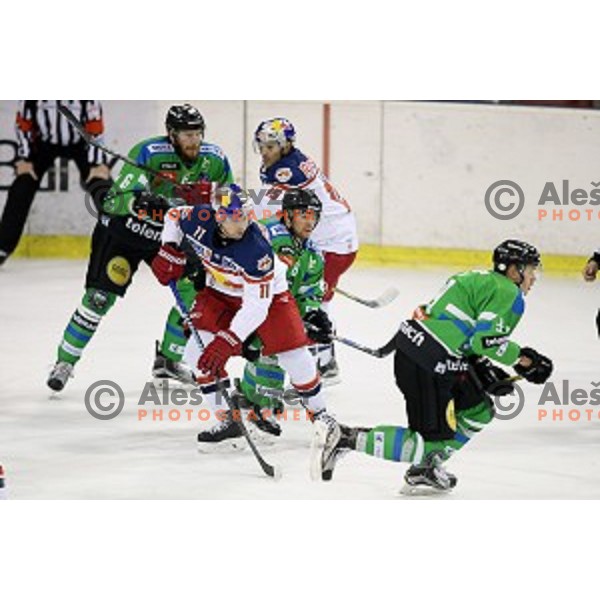 of Telemach Olimpija in action during ice-hockey match Telemach Olimpija - Red Bull Salzburg in EBEL league 2015/2016 in Tivoli Hall, Ljubljana, Slovenia on January 10, 2016