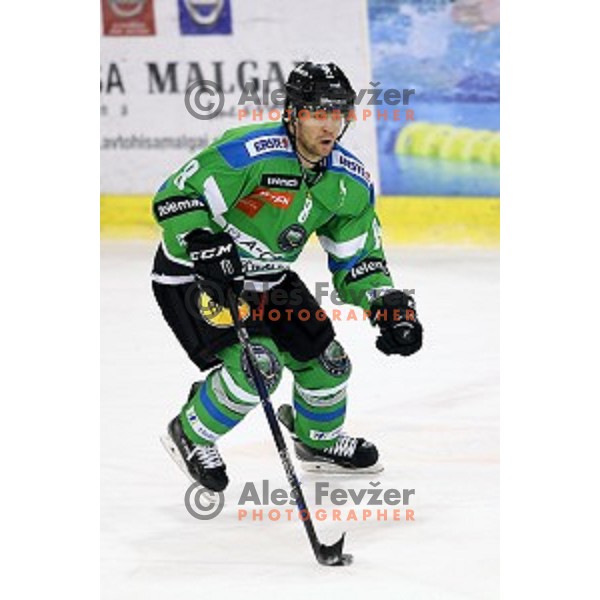of Telemach Olimpija in action during ice-hockey match Telemach Olimpija - Red Bull Salzburg in EBEL league 2015/2016 in Tivoli Hall, Ljubljana, Slovenia on January 10, 2016