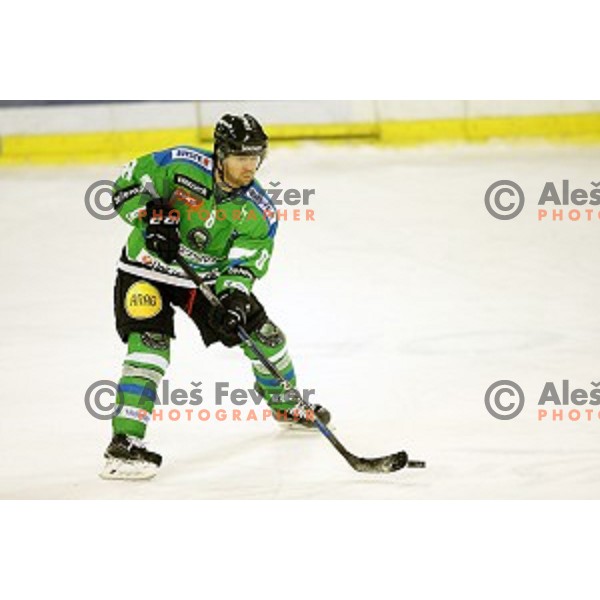 of Telemach Olimpija in action during ice-hockey match Telemach Olimpija - Red Bull Salzburg in EBEL league 2015/2016 in Tivoli Hall, Ljubljana, Slovenia on January 10, 2016
