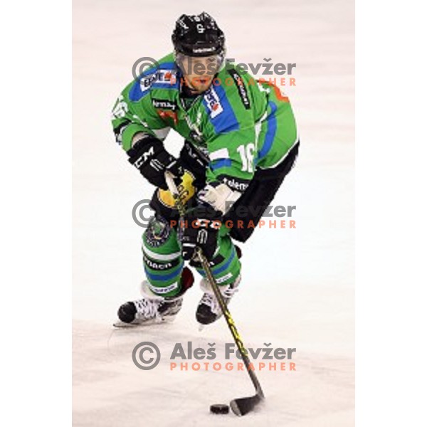 of Telemach Olimpija in action during ice-hockey match Telemach Olimpija - Red Bull Salzburg in EBEL league 2015/2016 in Tivoli Hall, Ljubljana, Slovenia on January 10, 2016