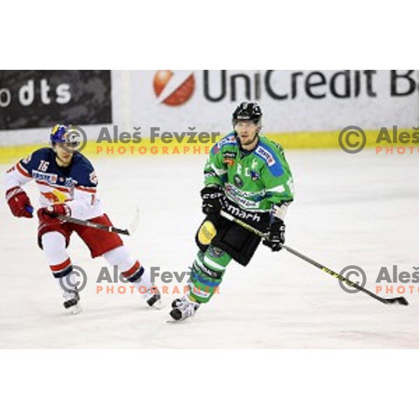 of Telemach Olimpija in action during ice-hockey match Telemach Olimpija - Red Bull Salzburg in EBEL league 2015/2016 in Tivoli Hall, Ljubljana, Slovenia on January 10, 2016