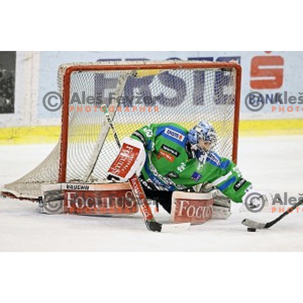 of Telemach Olimpija in action during ice-hockey match Telemach Olimpija - Red Bull Salzburg in EBEL league 2015/2016 in Tivoli Hall, Ljubljana, Slovenia on January 10, 2016