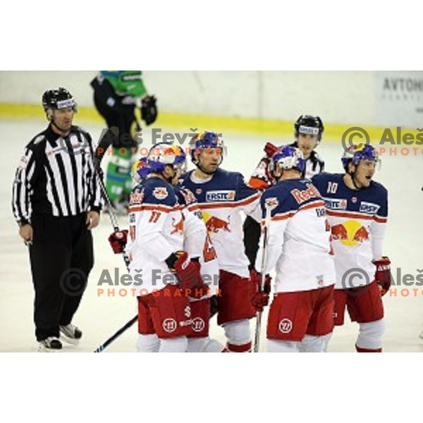 of Telemach Olimpija in action during ice-hockey match Telemach Olimpija - Red Bull Salzburg in EBEL league 2015/2016 in Tivoli Hall, Ljubljana, Slovenia on January 10, 2016