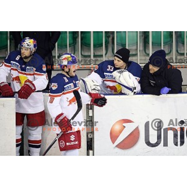 of Telemach Olimpija in action during ice-hockey match Telemach Olimpija - Red Bull Salzburg in EBEL league 2015/2016 in Tivoli Hall, Ljubljana, Slovenia on January 10, 2016