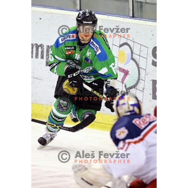 of Telemach Olimpija in action during ice-hockey match Telemach Olimpija - Red Bull Salzburg in EBEL league 2015/2016 in Tivoli Hall, Ljubljana, Slovenia on January 10, 2016