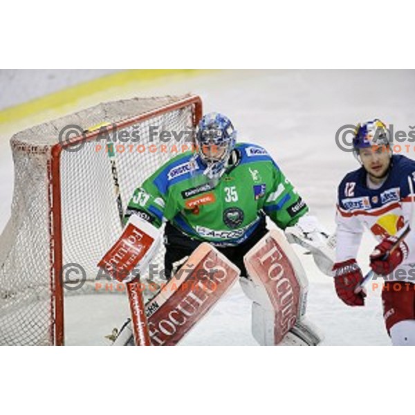 of Telemach Olimpija in action during ice-hockey match Telemach Olimpija - Red Bull Salzburg in EBEL league 2015/2016 in Tivoli Hall, Ljubljana, Slovenia on January 10, 2016