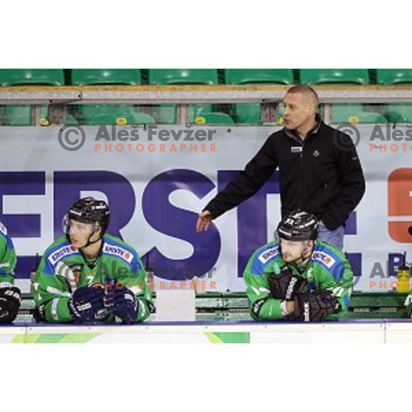 of Telemach Olimpija in action during ice-hockey match Telemach Olimpija - Red Bull Salzburg in EBEL league 2015/2016 in Tivoli Hall, Ljubljana, Slovenia on January 10, 2016