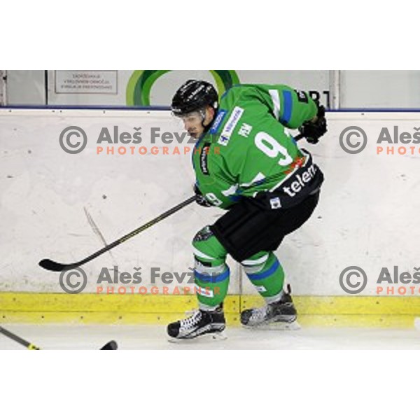 of Telemach Olimpija in action during ice-hockey match Telemach Olimpija - Red Bull Salzburg in EBEL league 2015/2016 in Tivoli Hall, Ljubljana, Slovenia on January 10, 2016