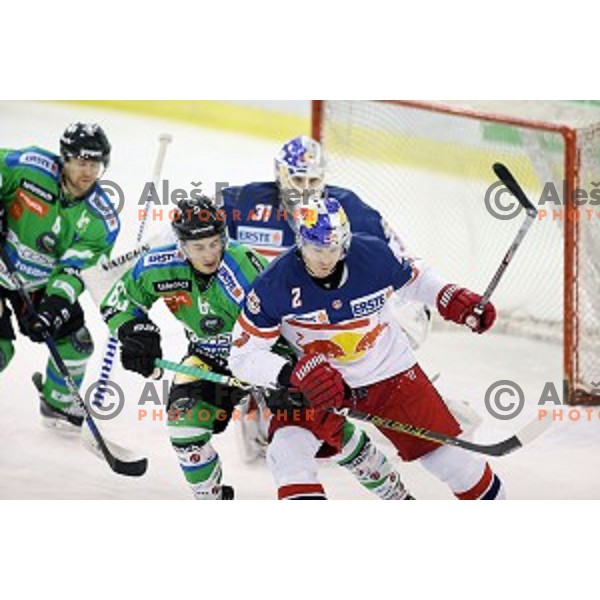 of Telemach Olimpija in action during ice-hockey match Telemach Olimpija - Red Bull Salzburg in EBEL league 2015/2016 in Tivoli Hall, Ljubljana, Slovenia on January 10, 2016