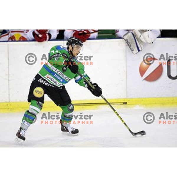 of Telemach Olimpija in action during ice-hockey match Telemach Olimpija - Red Bull Salzburg in EBEL league 2015/2016 in Tivoli Hall, Ljubljana, Slovenia on January 10, 2016