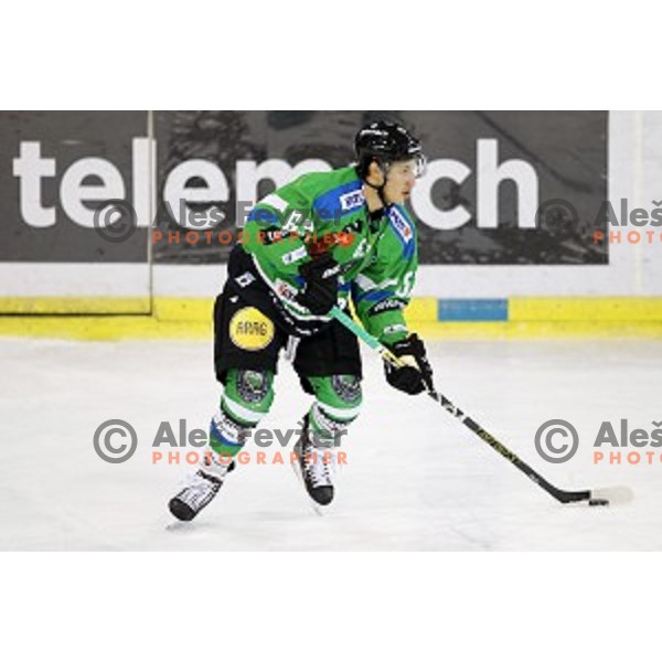 of Telemach Olimpija in action during ice-hockey match Telemach Olimpija - Red Bull Salzburg in EBEL league 2015/2016 in Tivoli Hall, Ljubljana, Slovenia on January 10, 2016