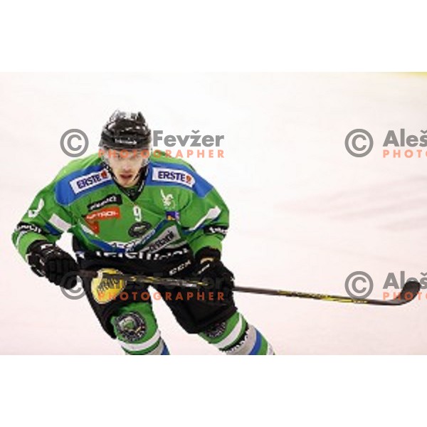 of Telemach Olimpija in action during ice-hockey match Telemach Olimpija - Red Bull Salzburg in EBEL league 2015/2016 in Tivoli Hall, Ljubljana, Slovenia on January 10, 2016
