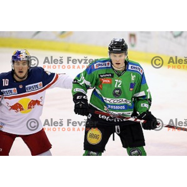 of Telemach Olimpija in action during ice-hockey match Telemach Olimpija - Red Bull Salzburg in EBEL league 2015/2016 in Tivoli Hall, Ljubljana, Slovenia on January 10, 2016