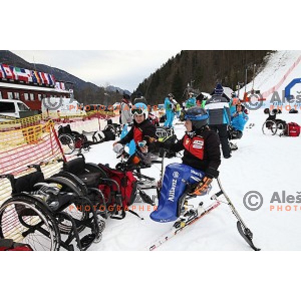 Giant Slalom at 2016 IPC Alpine Ski World Cup in Kranjska gora, Slovenia on January 15, 2016