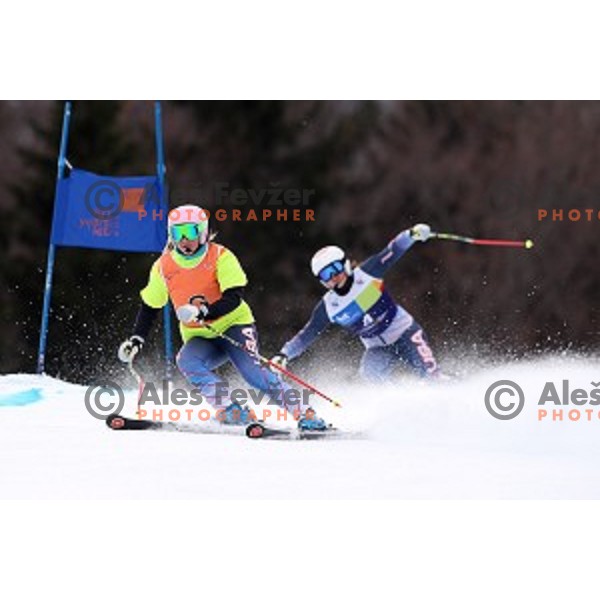 Giant Slalom at 2016 IPC Alpine Ski World Cup in Kranjska gora, Slovenia on January 15, 2016
