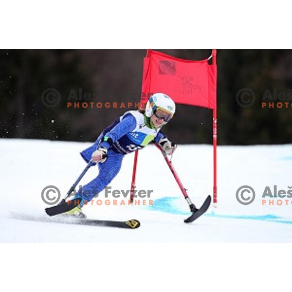 Giant Slalom at 2016 IPC Alpine Ski World Cup in Kranjska gora, Slovenia on January 15, 2016