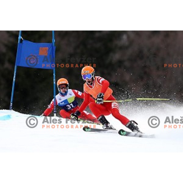 Giant Slalom at 2016 IPC Alpine Ski World Cup in Kranjska gora, Slovenia on January 15, 2016