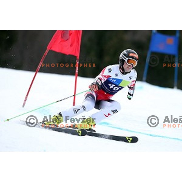Martin Wuerz (AUT) during Giant Slalom at 2016 IPC Alpine Ski World Cup in Kranjska gora, Slovenia on January 15, 2016