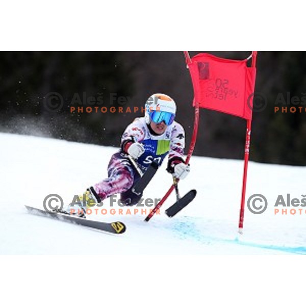 Jordan Broisin (FRA) during Giant Slalom at 2016 IPC Alpine Ski World Cup in Kranjska gora, Slovenia on January 15, 2016