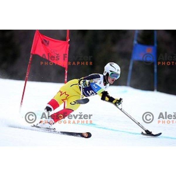 Braydon Luscombe of Canada during Giant Slalom at 2016 IPC Alpine Ski World Cup in Kranjska gora, Slovenia on January 15, 2016