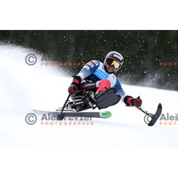 Giant Slalom at 2016 IPC Alpine Ski World Cup in Kranjska gora, Slovenia on January 15, 2016