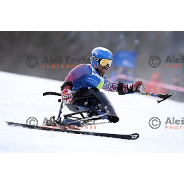 Giant Slalom at 2016 IPC Alpine Ski World Cup in Kranjska gora, Slovenia on January 15, 2016