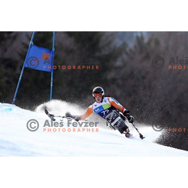 Niels de Langen (NED) during Giant Slalom at 2016 IPC Alpine Ski World Cup in Kranjska gora, Slovenia on January 15, 2016