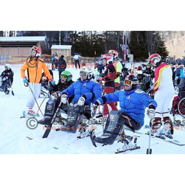 Giant Slalom at 2016 IPC Alpine Ski World Cup in Kranjska gora, Slovenia on January 15, 2016