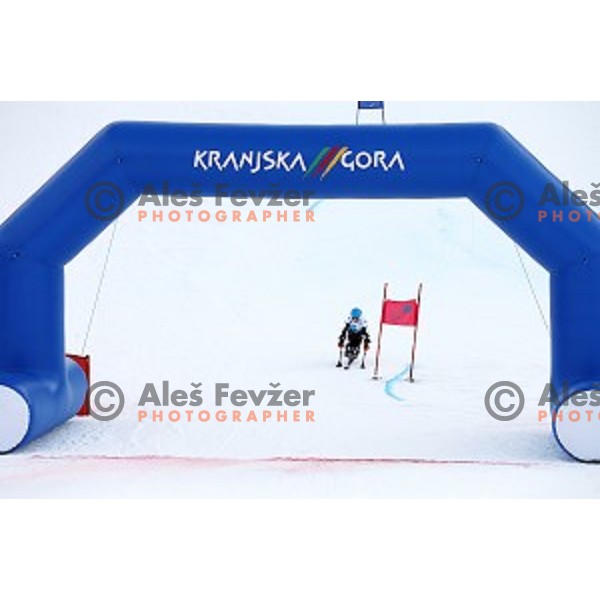 Giant Slalom at 2016 IPC Alpine Ski World Cup in Kranjska gora, Slovenia on January 15, 2016