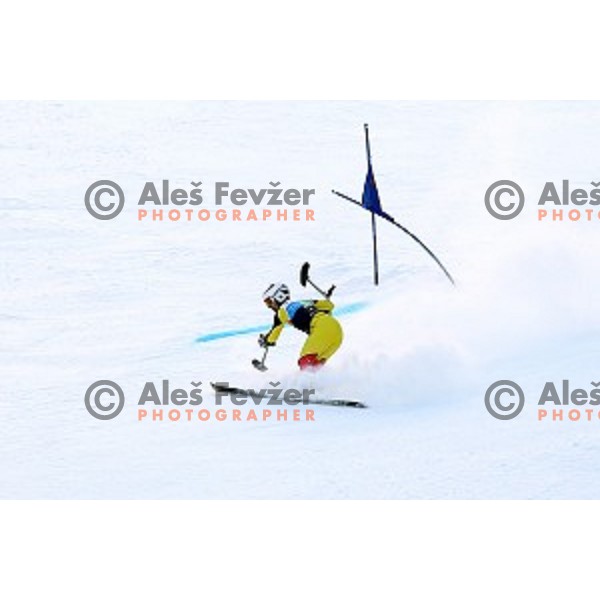 Giant Slalom at 2016 IPC Alpine Ski World Cup in Kranjska gora, Slovenia on January 15, 2016