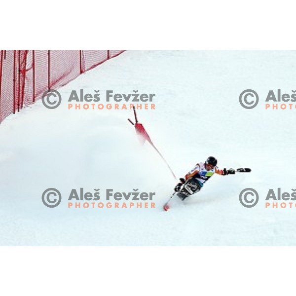 Giant Slalom at 2016 IPC Alpine Ski World Cup in Kranjska gora, Slovenia on January 15, 2016