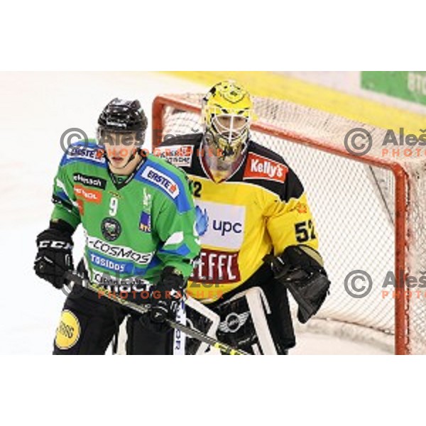 of Telemach Olimpija in action during ice-hockey match Telemach Olimpija- Vienna Capitals in EBEL league 2015/2016 in Tivoli Hall, Ljubljana, Slovenia on January 15, 2016