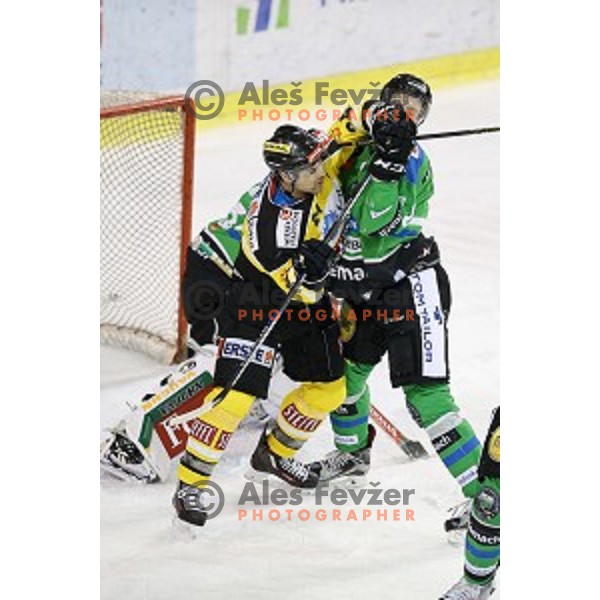 of Telemach Olimpija in action during ice-hockey match Telemach Olimpija- Vienna Capitals in EBEL league 2015/2016 in Tivoli Hall, Ljubljana, Slovenia on January 15, 2016