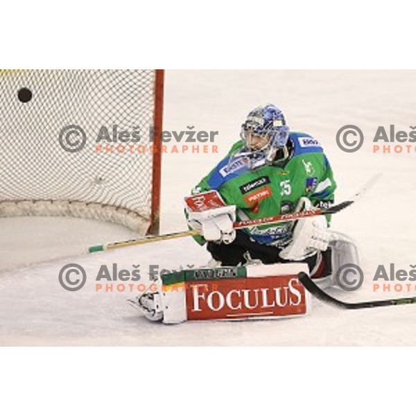 of Telemach Olimpija in action during ice-hockey match Telemach Olimpija- Vienna Capitals in EBEL league 2015/2016 in Tivoli Hall, Ljubljana, Slovenia on January 15, 2016