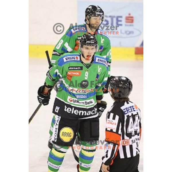 of Telemach Olimpija in action during ice-hockey match Telemach Olimpija- Vienna Capitals in EBEL league 2015/2016 in Tivoli Hall, Ljubljana, Slovenia on January 15, 2016