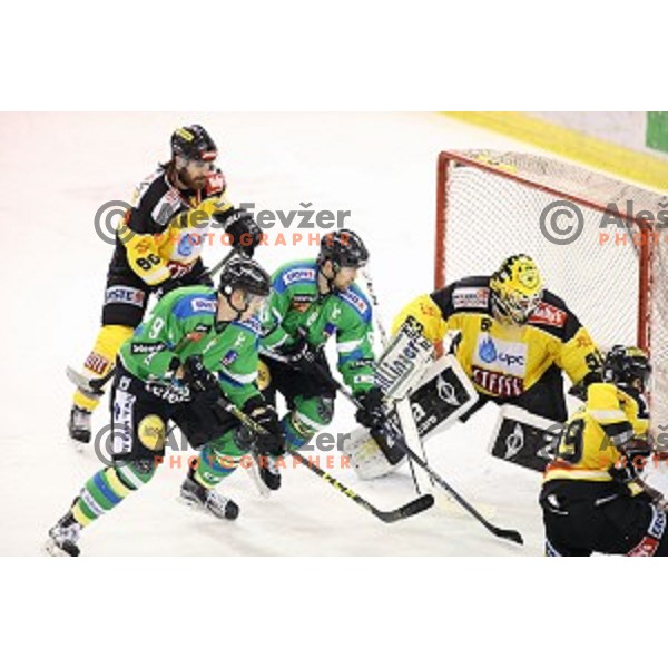 of Telemach Olimpija in action during ice-hockey match Telemach Olimpija- Vienna Capitals in EBEL league 2015/2016 in Tivoli Hall, Ljubljana, Slovenia on January 15, 2016