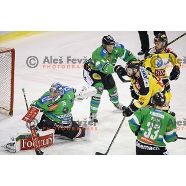 of Telemach Olimpija in action during ice-hockey match Telemach Olimpija- Vienna Capitals in EBEL league 2015/2016 in Tivoli Hall, Ljubljana, Slovenia on January 15, 2016