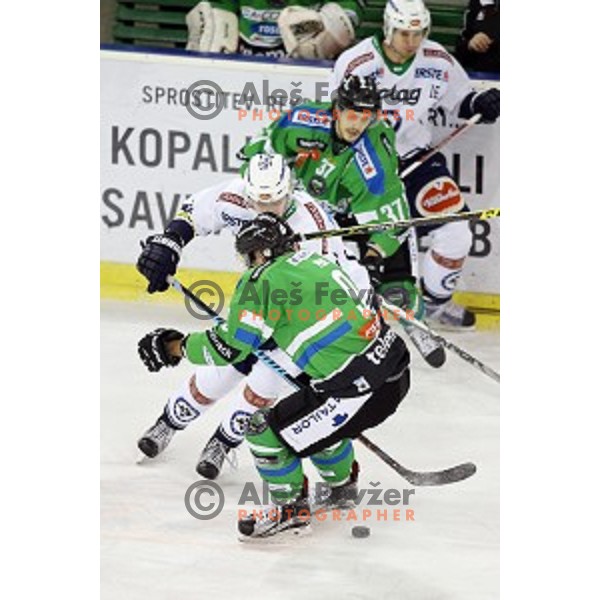 of Telemach Olimpija in action during ice-hockey match Telemach Olimpija- VSV in EBEL league 2015/2016 in Tivoli Hall, Ljubljana, Slovenia on January 22, 2016