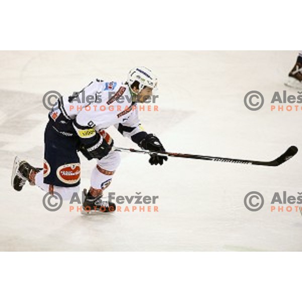 Miha Verlic of VSV in action during ice-hockey match Telemach Olimpija- VSV in EBEL league 2015/2016 in Tivoli Hall, Ljubljana, Slovenia on January 22, 2016